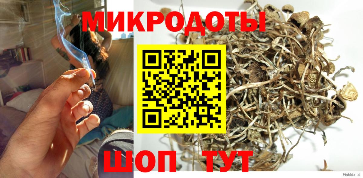 Галлюциногенные грибы Psilocybine cubensis Ипатово